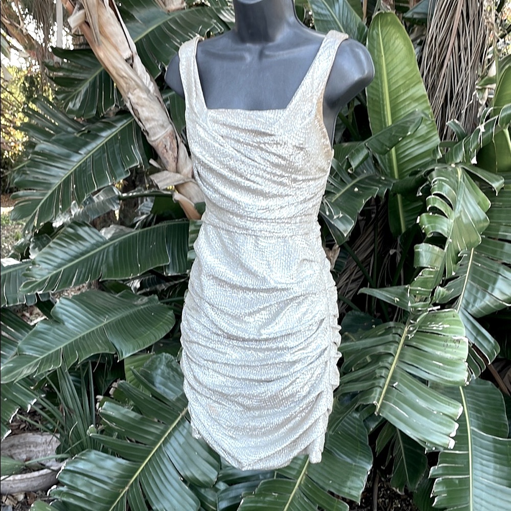 Express silver dress